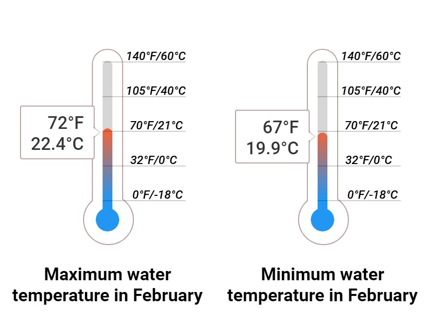 Average Sea temperature